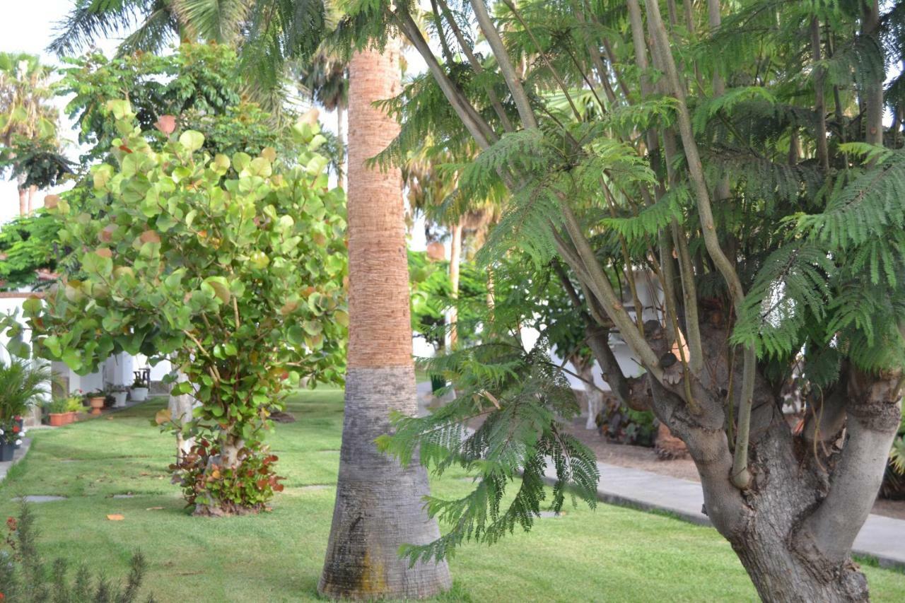 Maspalomas Experience Holiday House Exteriör bild